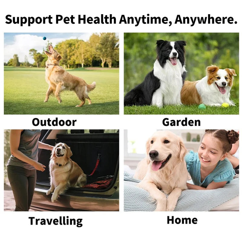 Pet Dental Finger Wipes for Dogs & Cats — 50 pcs