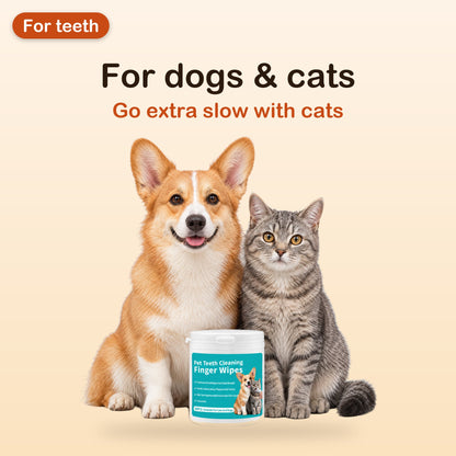 Corgi and gray tabby cat sitting behind a tub of dental finger wipes for dogs and cats